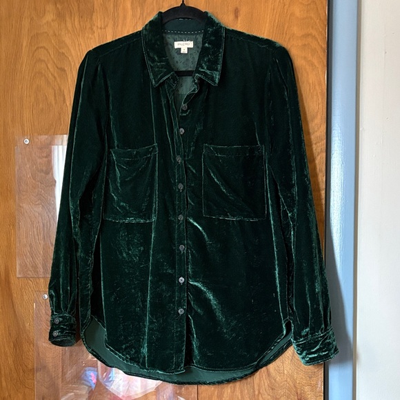 Anthropologie Pilcro Relaxed Green Velvet Button Down Blouse Top - Picture 4 of 10